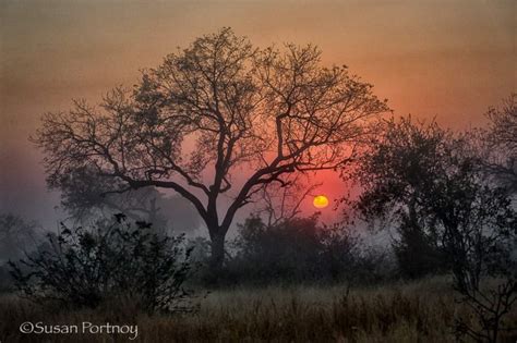 Yesterday's Shadows: A Haunting Exploration of South African Landscapes